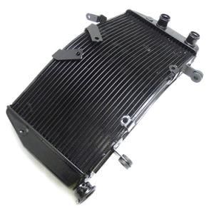 Frddu001 Motorcycle Parts Aluminum Radiator for Ducati 848 1098 1198 2008-2012