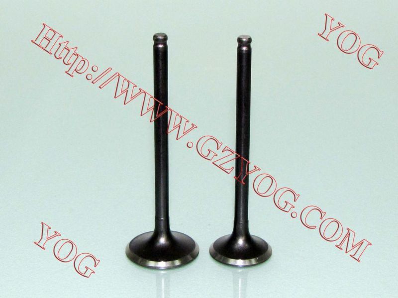 Yog Motorcycle Spare Parts Valve for C125 Titan02 Ugboss125