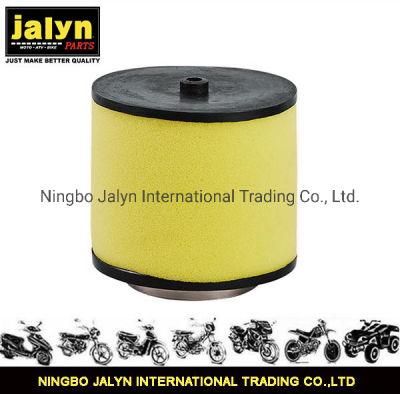 Motorcycle Spare Part Motorcycle Air Filter Fit for Trx350 Trx400