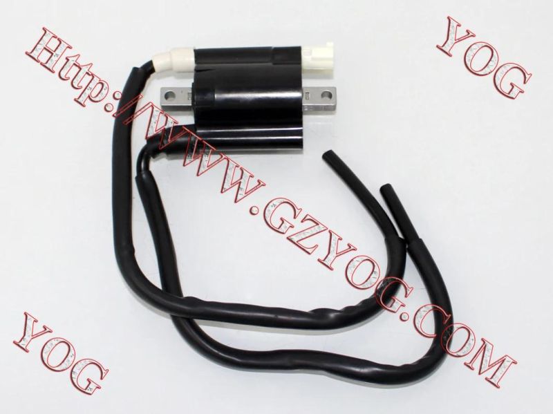 Yog Motorcycle Parts Motorcycle Ignition Coil for Honda Dream