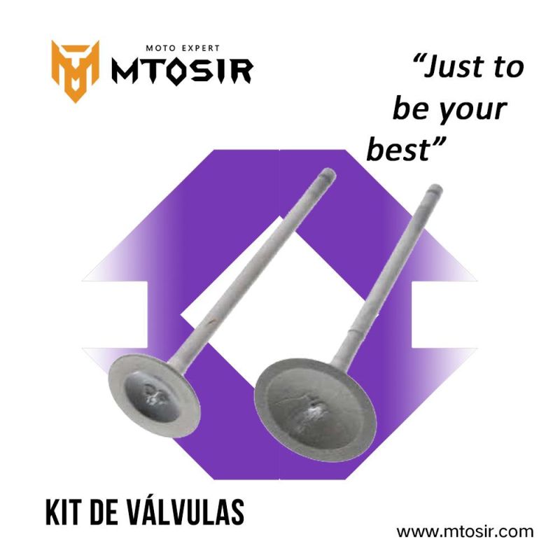 Mtosir High Quality Kit De Guí as De Cadena Y Tensor Bajaj Pulsar 150 150ug Motorcycle Spare Parts Cam Chain Tensioner and Guide