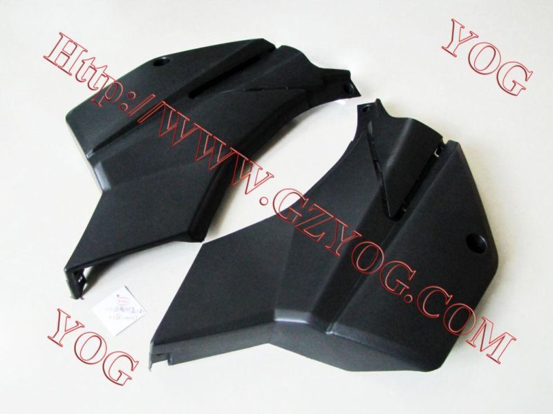 Motorcycle Spare Parts Oil Tank Fuel Tank Side Cover for Tx 200gy/Skr200