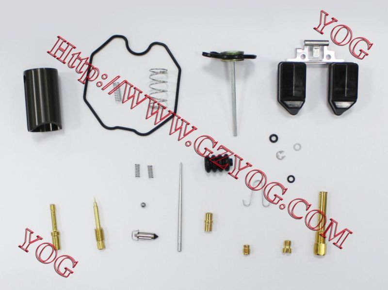 Motorcycle Spare Parts Motorcycle Carburetor for FT110