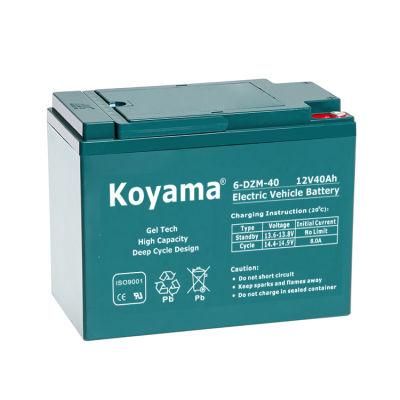 Lead Acid Deep Cycle Batteries for E-Bike/Rickshaw/Scooter 6-Dzm-40 Battery 12V 40ah