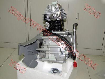 Motorcycle Parts, Motorcycle Engine Complete for Honda Zongsheg Lifan Loncin Dayun 125cc 150cc 200cc 250cc