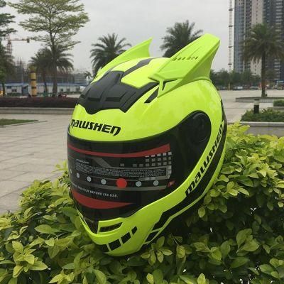 Fashionable Full Face Motorcycle Motorbike Helmets with Ears