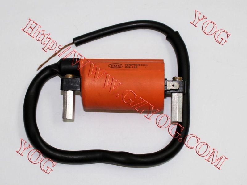 Motorcycle Spare Parts Motorcycle Electric Ignition Coil Gn125 GS125 Gy6125