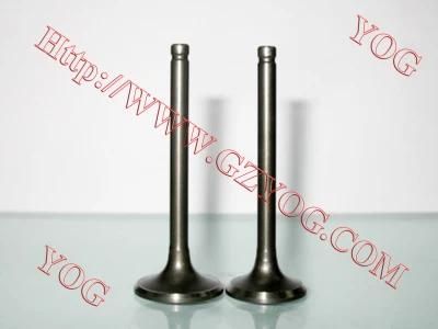 Motorcycle Engine Valve Kit Valvulas Qingqi200gy Titan150 Gy6125