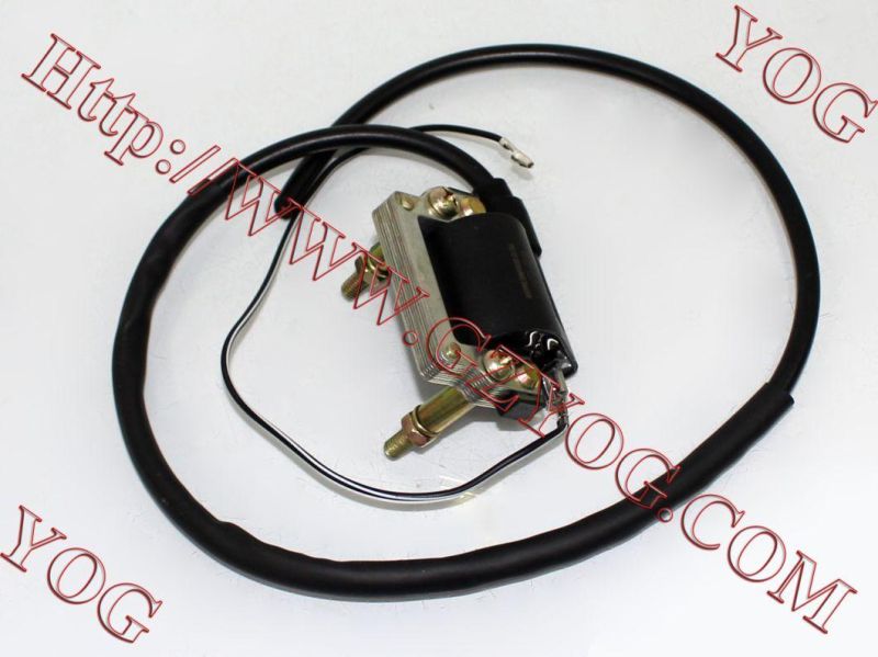 Motorcycle Parts Ignition Coil Ignition Comp. for Tvs Start Hlx125/Tvs Start Lf125