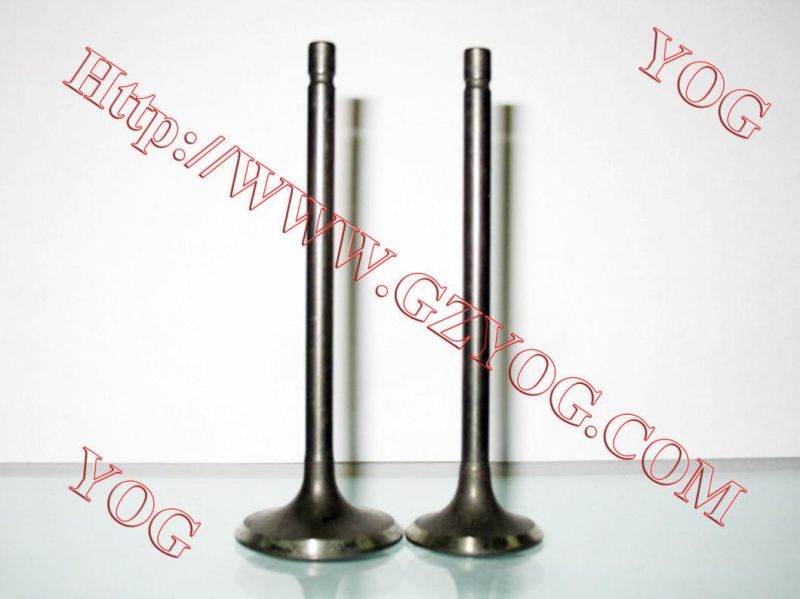 Motorcycle Spare Parts Aluminum Alloy Valve Set Ybr125 Fz16