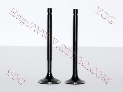 Yog Motorcycle Engine Valve Tvs Star/Hlx-125/Apache Titan02