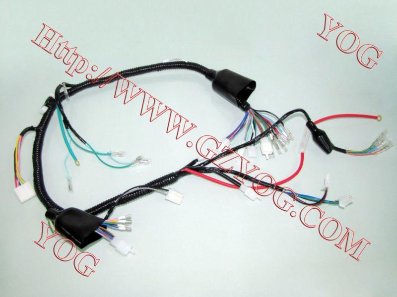 Motorcycle Main Wire Main Hardness Instalacion Electrica Gn125 Dt175K Cgl125