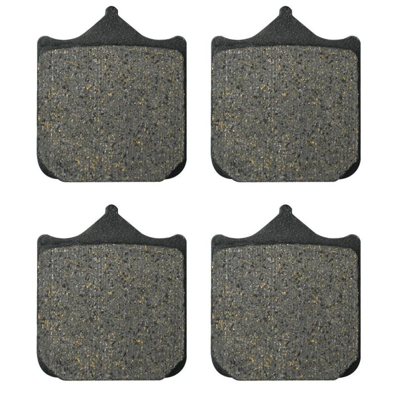 Fa604 Motorcycle Front Brake Pads for BMW S1000r