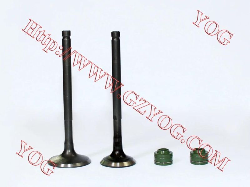 Yog Motorcycle Spare Parts Valve and Oil Seal for Tvs Star Bajaj Bm100esks An125