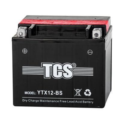 12V 12AH TCS Dry Charged Maintenance Free Motorcycle Battery for Common motorcycle