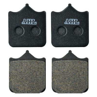 Fa604 Motorcycle Front Brake Pads for BMW S1000r