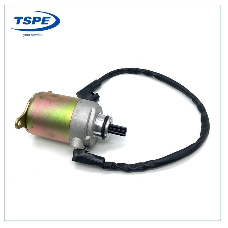 Motorcycle Parts Starter Motor for Ds150 Xs150 GS150 Ws150