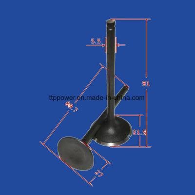 Motorcycle Accessories Motorcycle Valve Inlet/Exhaust Set for Cg200