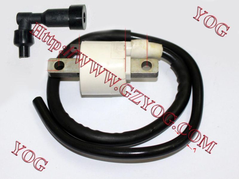 Motorcycle Parts Ignition Coil Ignition Comp. for Tvs Start Hlx125/Tvs Start Lf125