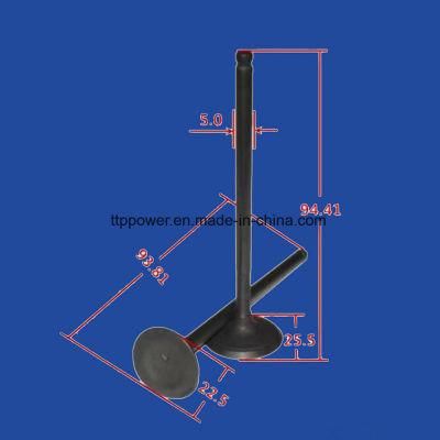 Motorcycle Parts Motorcycle Valve Inlet/Exhaust Set for En125