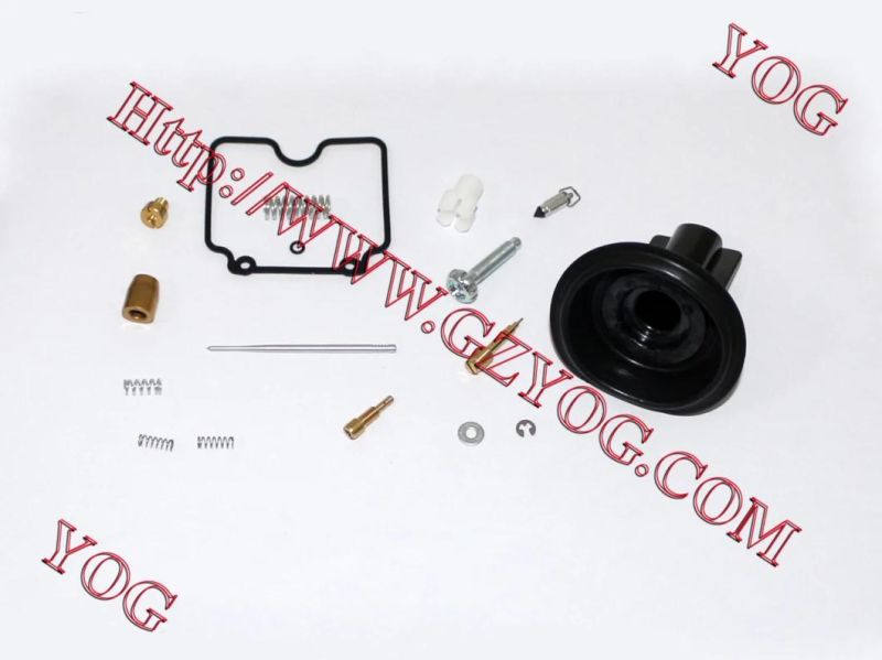 Motorcycle Parts Carburetor Repair Kit for Ax100 Dy100 Cg200