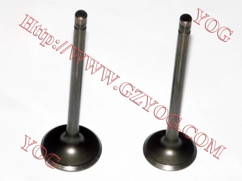 Yog Motorcycle Spare Parts Engine Parts Valve for Bajajbm100esks Titan150 C125