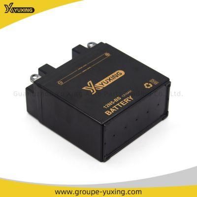 Hot Sale High Quality Motorcycle Parts Maintenance Free Battery: 12n5-BS