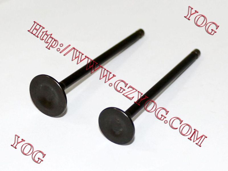 Motorcycle Valve for Outlook-150/CD110