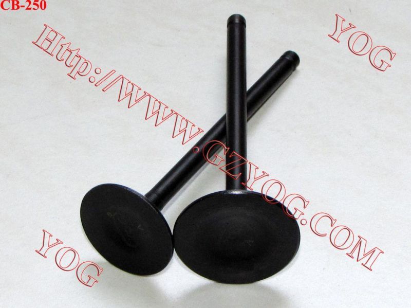 Yog Motorcycle Spare Parts Valve for Bajaj Bm100esks Bm150 Boxer Cg125