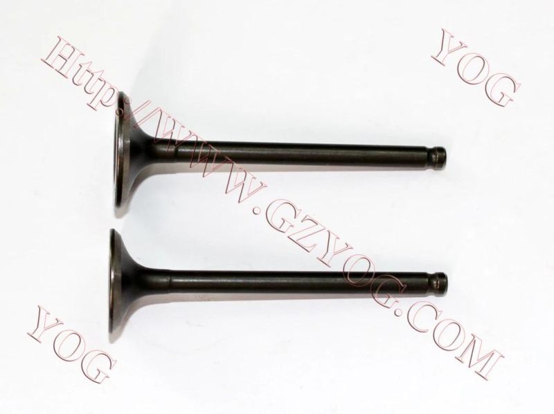 Yog Motorcycle Spare Parts Engine Parts Valve for Bajajbm100esks Titan150 C125