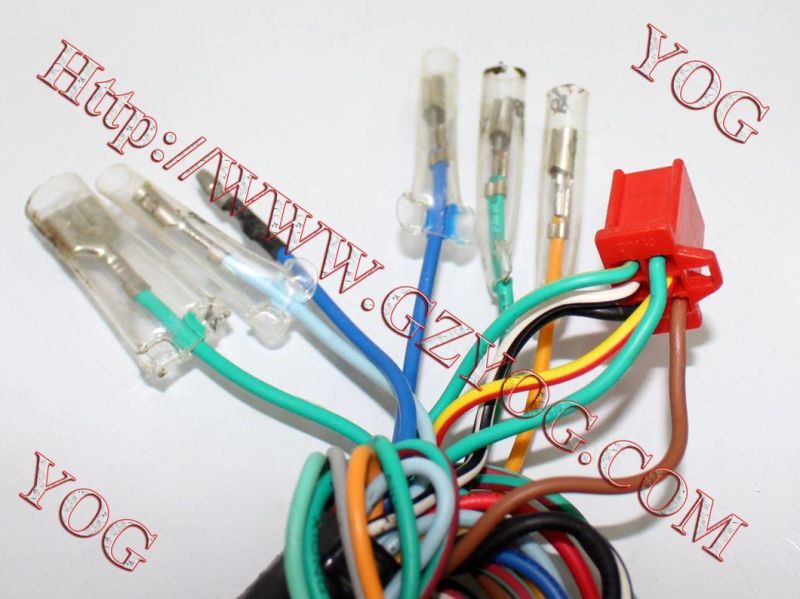Motorcycle Main Wire Main Hardness Instalacion Electrica Pulsar220 Bm150 Akt125