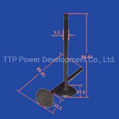 En125 Motorcycle Exhuast/Inlet Valve Motorcycle Parts