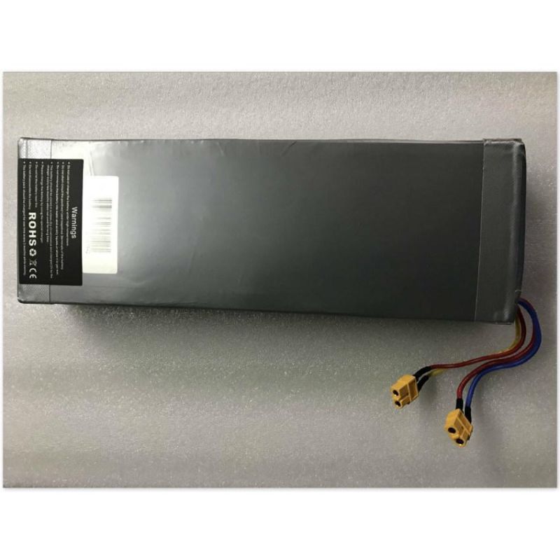 18650 Cell Lithium 36V 9ah Li-ion Battery Pack for E-Bike