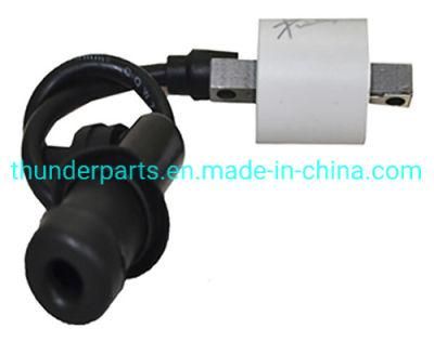 Motorcycle Ignition Coil/Bobina Alta/Encendido Bm150, Gy6 125/150. Boxer Bm150, Bm100. Pulsar