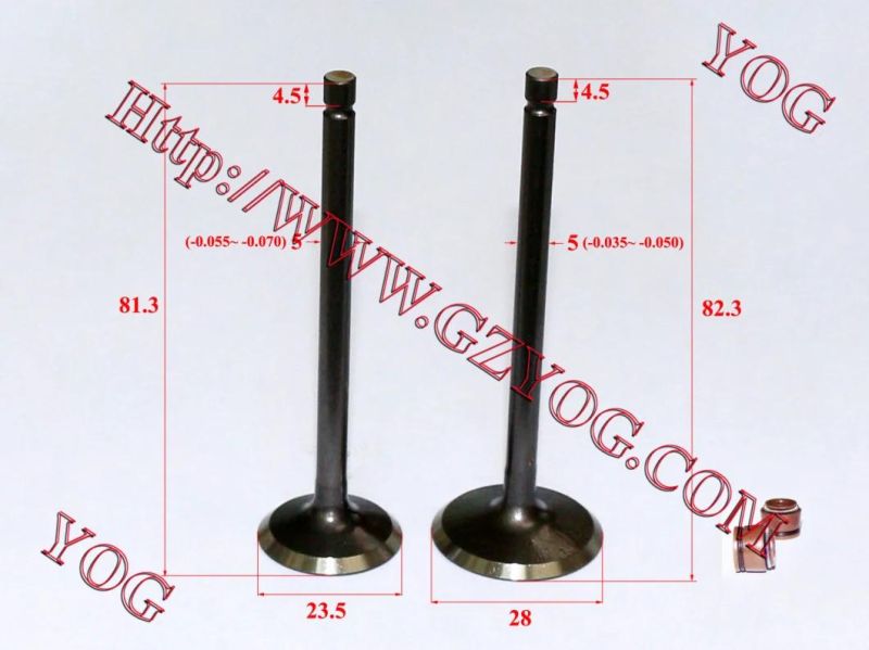 Yog Motorcycle Spare Parts Valve and Oil Seal for Tvs Star Bajaj Bm100esks An125