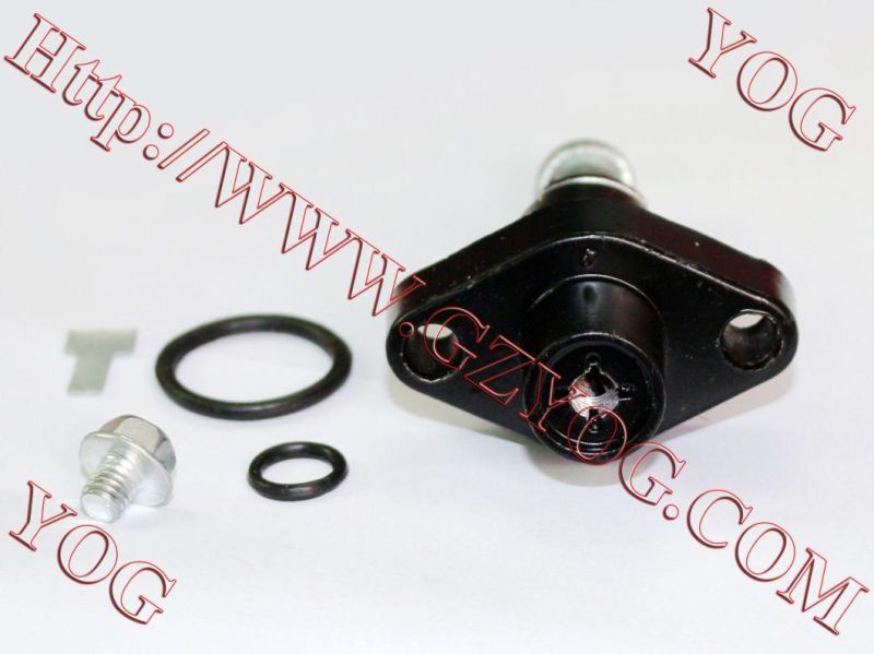 Motorcycle Parts Motorcycle Tensioner Assy for An125 Bajaj Boxer Bm150 Pulsar180
