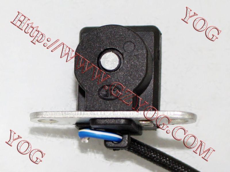 Motorcycle Parts Stator Comp. Rx125/ Dy100