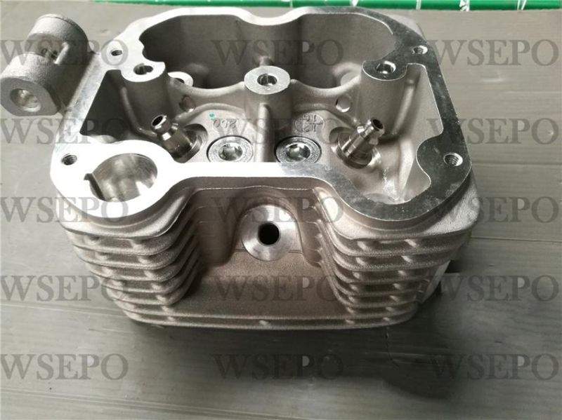 Cg300 Dual Cool Cylinder Head Fits for Zongshen Loncin Lifan Xingyuan Yinxiang 300cc Type Motorcycle