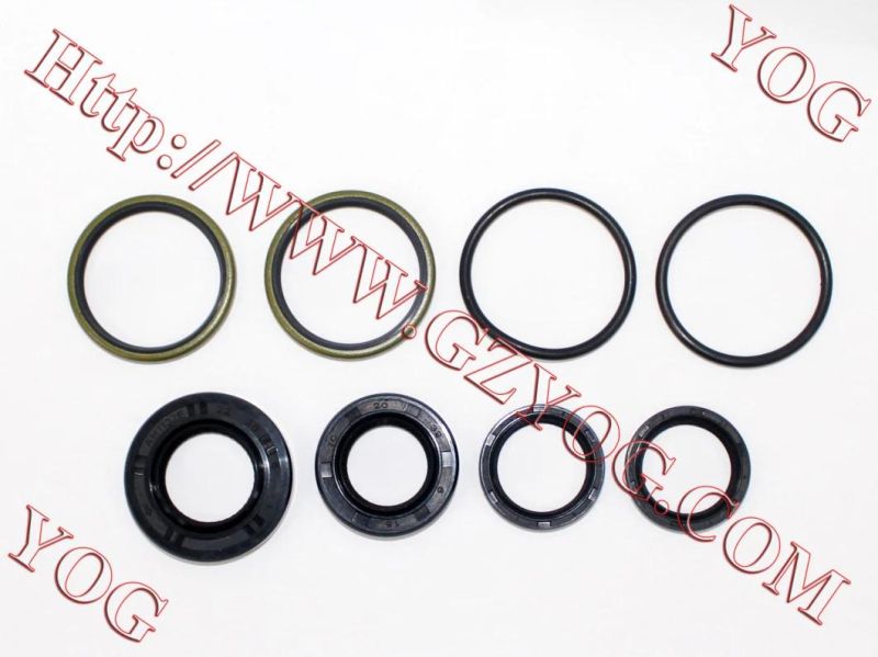 Motorcycle Engine Oil Seal Kit En125 Tvs Star Jh70
