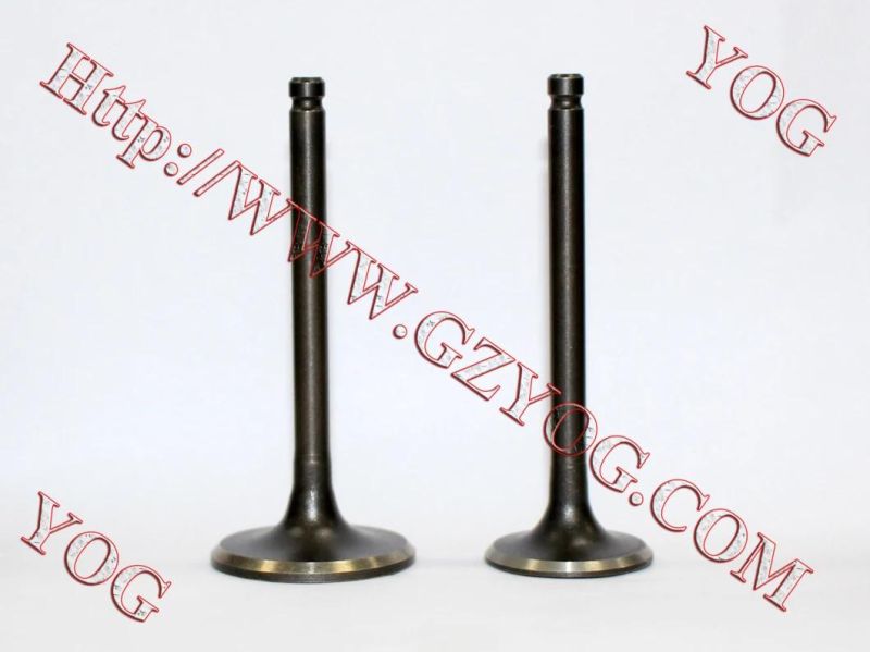 Motorcycle Spare Parts Engine Part Valve for Bajajpulsar135 Ugboss125 Shogun