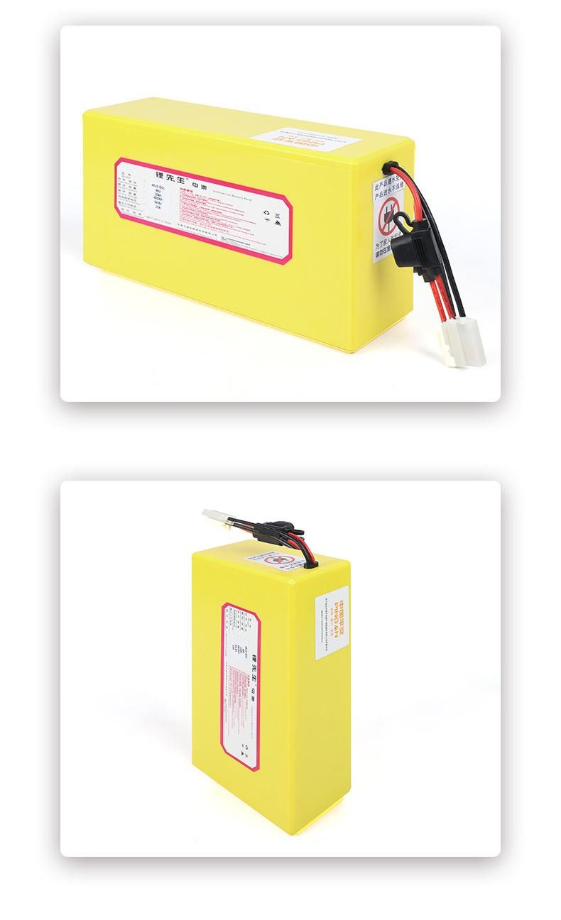 48V 10ah Lithium Ion Battery Rechargeable E-Bike Battery