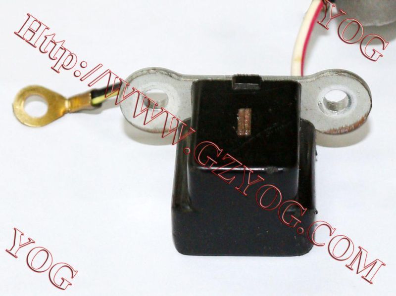 Motorcycle Spare Parts Motorcycle Pulser Coil Bajaj Boxer Tvs Star Hlx125 Cg125