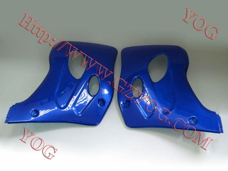 Motorcycle Spare Parts Oil Tank Fuel Tank Side Cover for Tx 200gy/Skr200