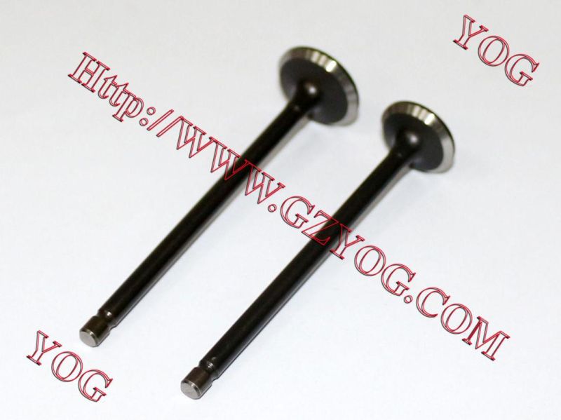 Yog Motorcycle Spare Parts Valve for C125 Titan02 Ugboss125
