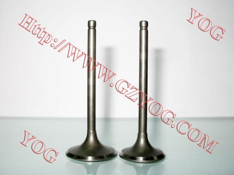 Yog Motorcycle Spare Parts Valve for C125 Titan02 Ugboss125