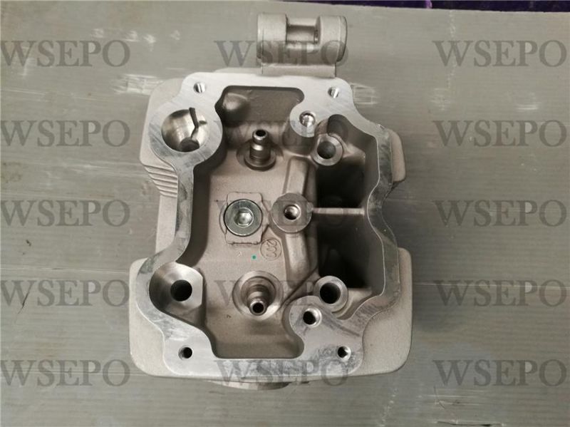 Cg200 Dual Cool Cylinder Head Fits for Zongshen Loncin Lifan Xingyuan Yinxiang 200cc Type Motorcycle