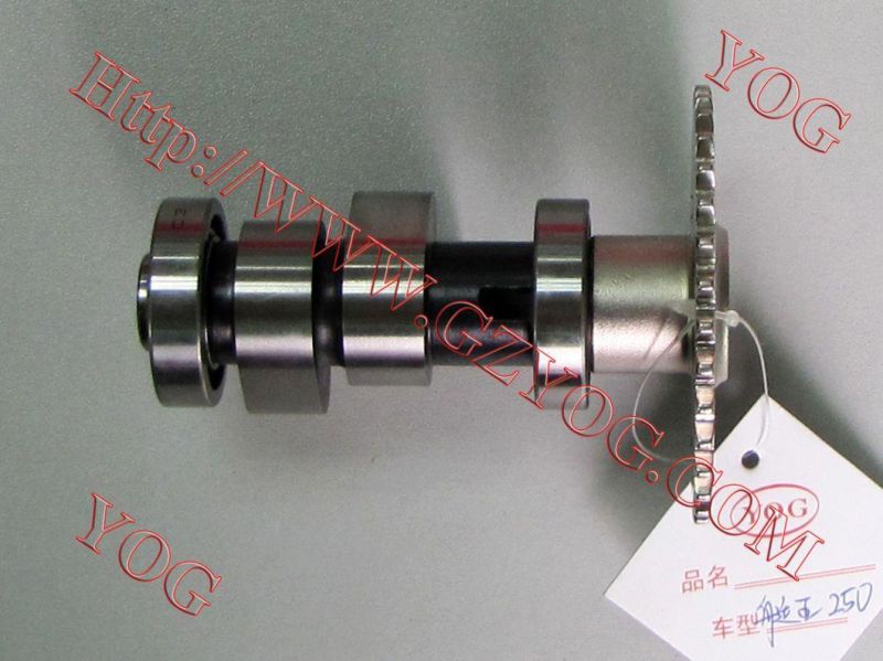 Motorcycle Parts Motorcycle Camshaft for Titan 2000/Bws125