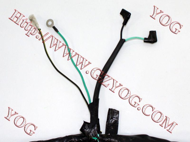 Motorcycle Main Wire Main Hardness Instalacion Electrica Pulsar220 Bm150 Akt125