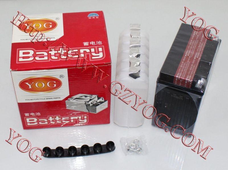 Motorcycle Spare Parts Wet Dry Gel Battery 6n4-2A