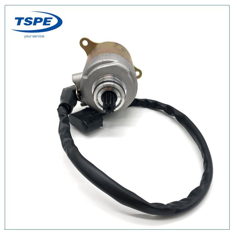 Motorcycle Parts Starter Motor for Ds150 Xs150 GS150 Ws150